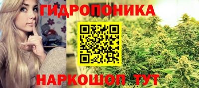ALPHA-PVP Баксан