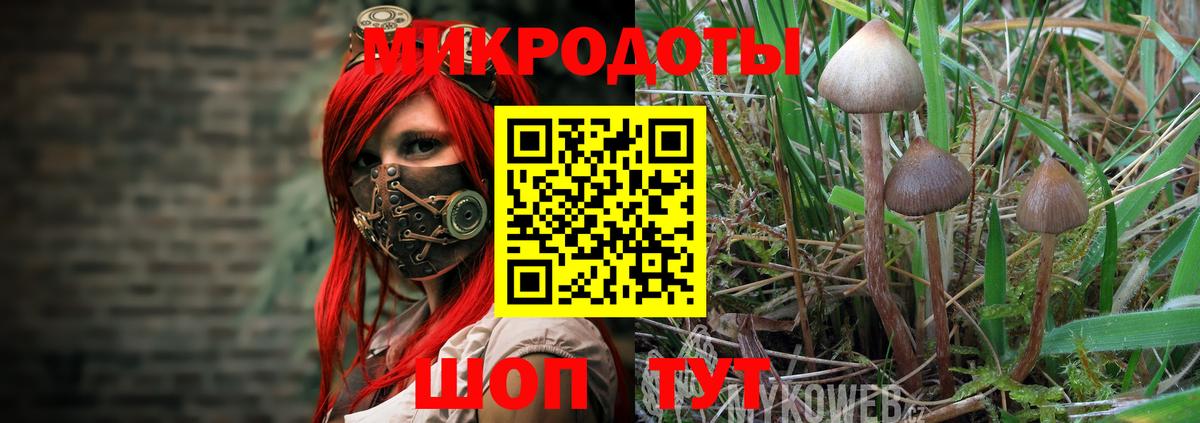 Галлюциногенные грибы прущие грибы Энгельс