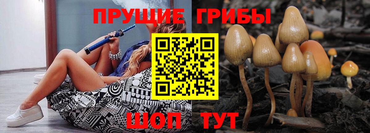 Псилоцибиновые грибы Magic Shrooms  Вход с VPN  продажа наркотиков  Энгельс  Галлюциногенные грибы прущие грибы 